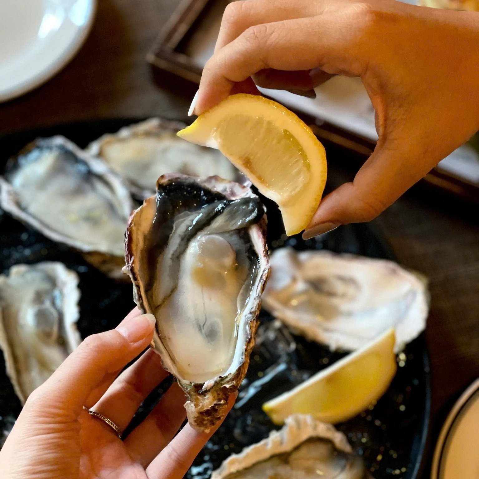 BUBBLES & OYSTERS — photo 2