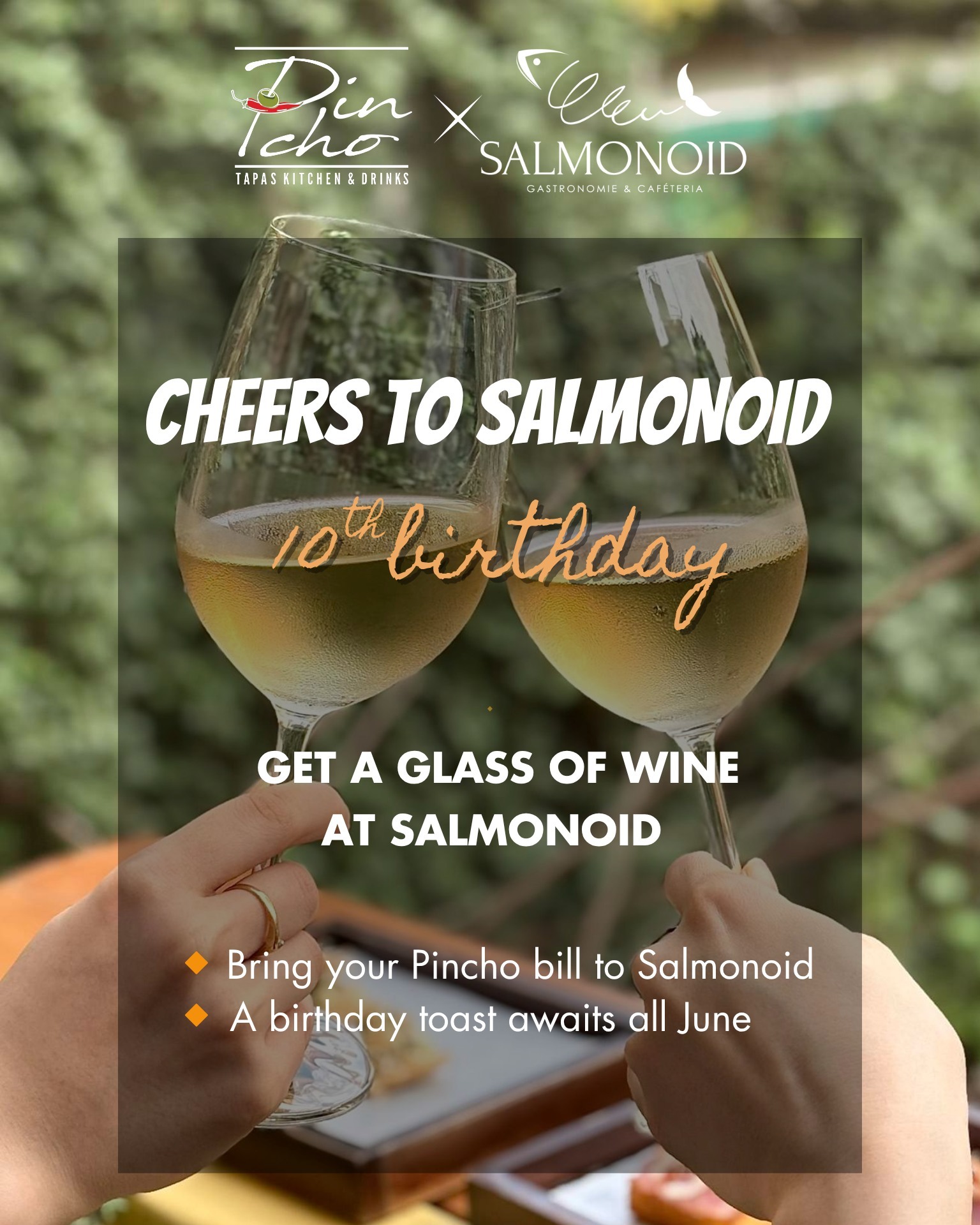 CHEERS TO SALMONOID’S 10 YEARS