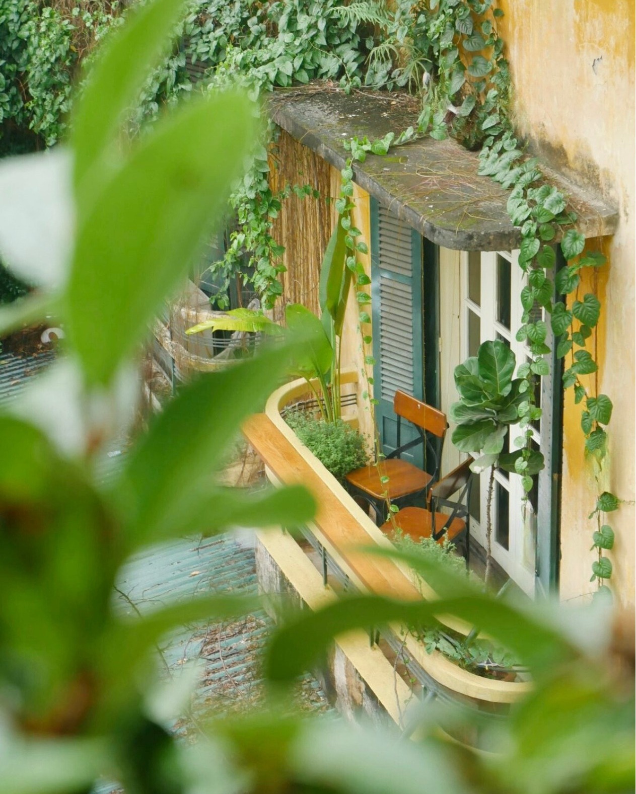 SUMMER’S GOT SOME NEW FLAVORS