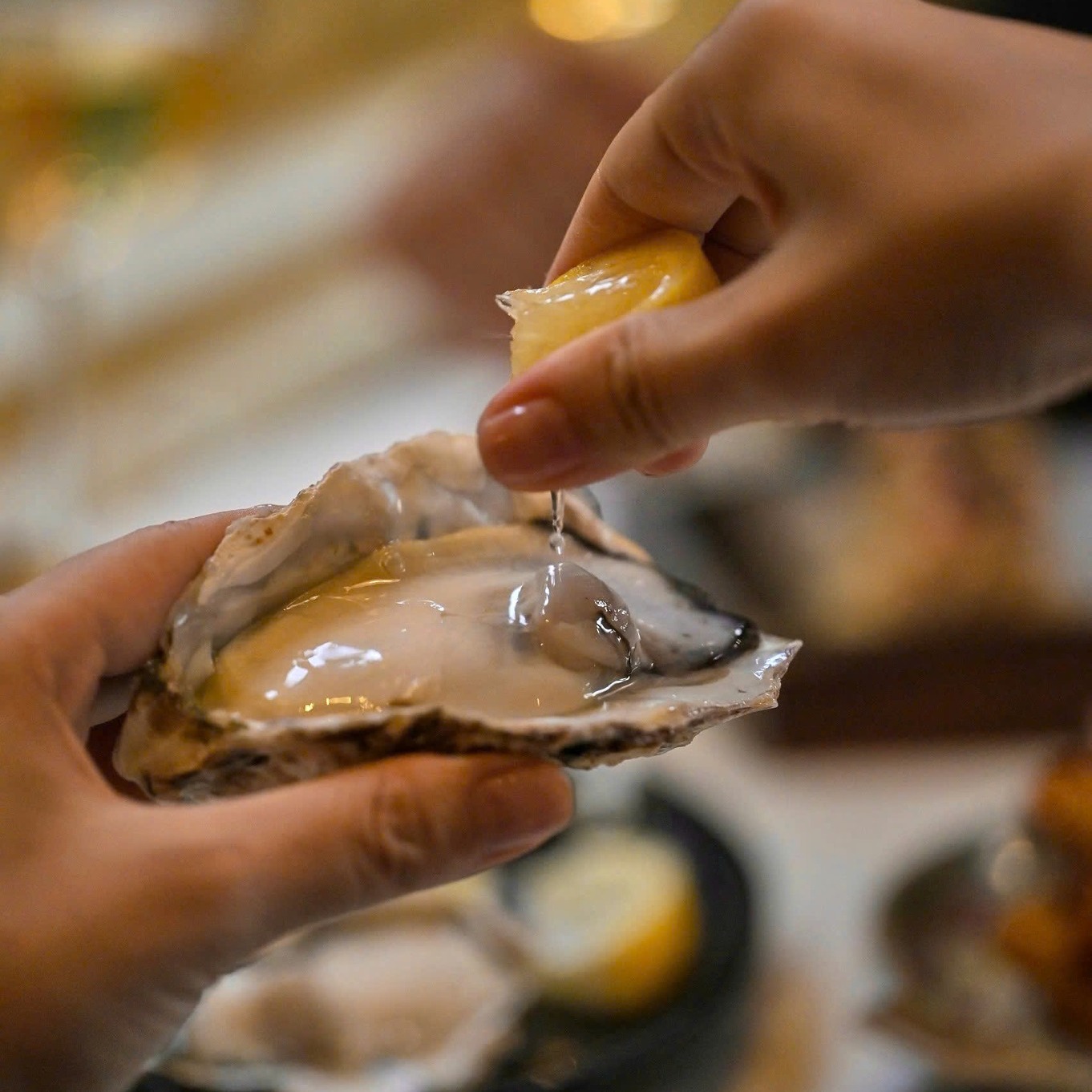 FALL INTO BRUNCHO — photo 4