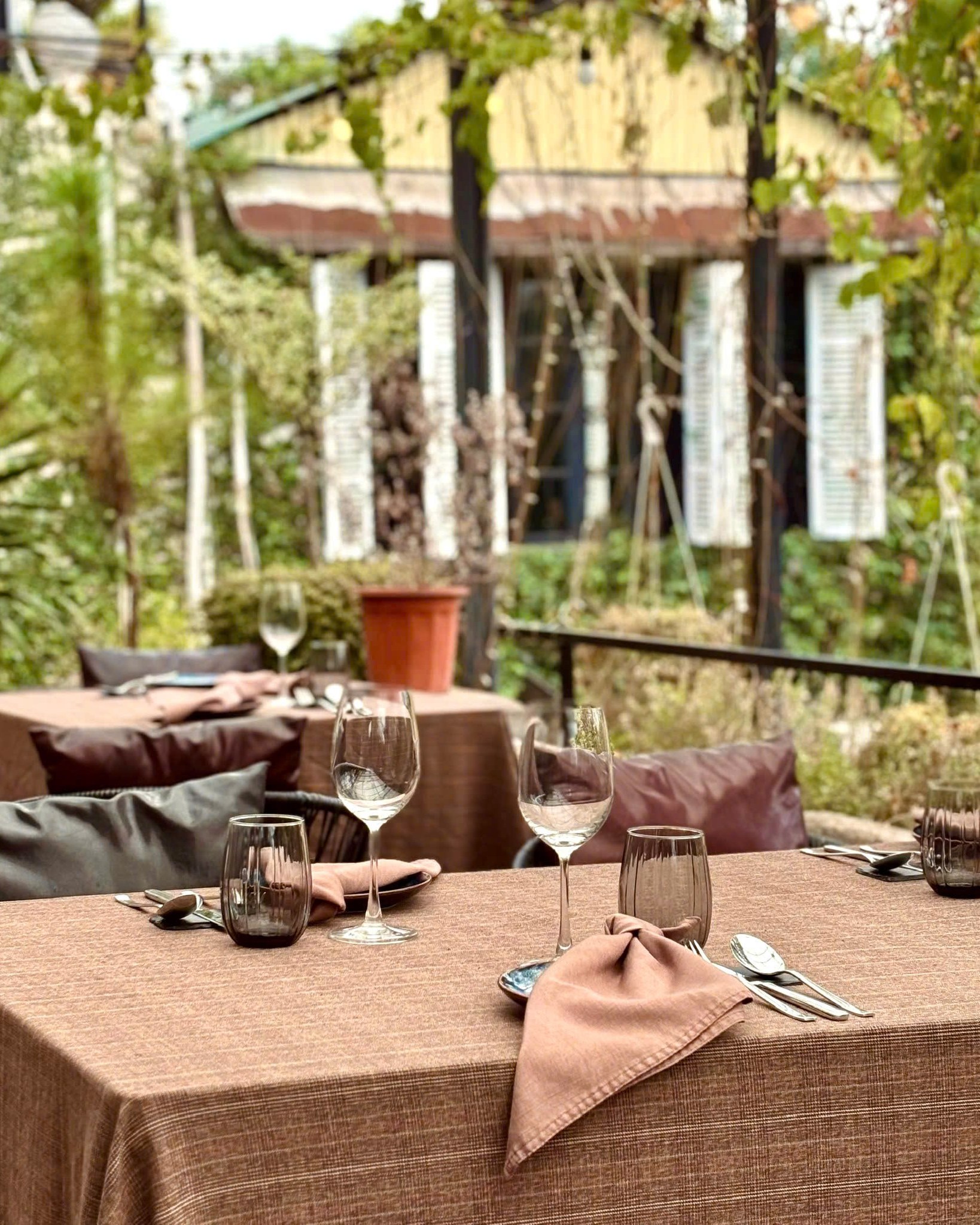 AUTUMN IN THE GARDEN