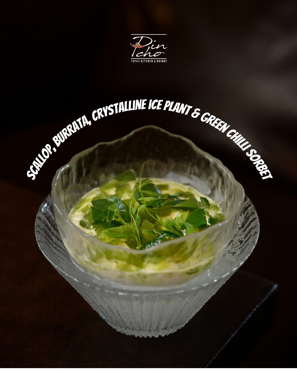 A FLOATING ISLAND OF BURRATA SCALLOP