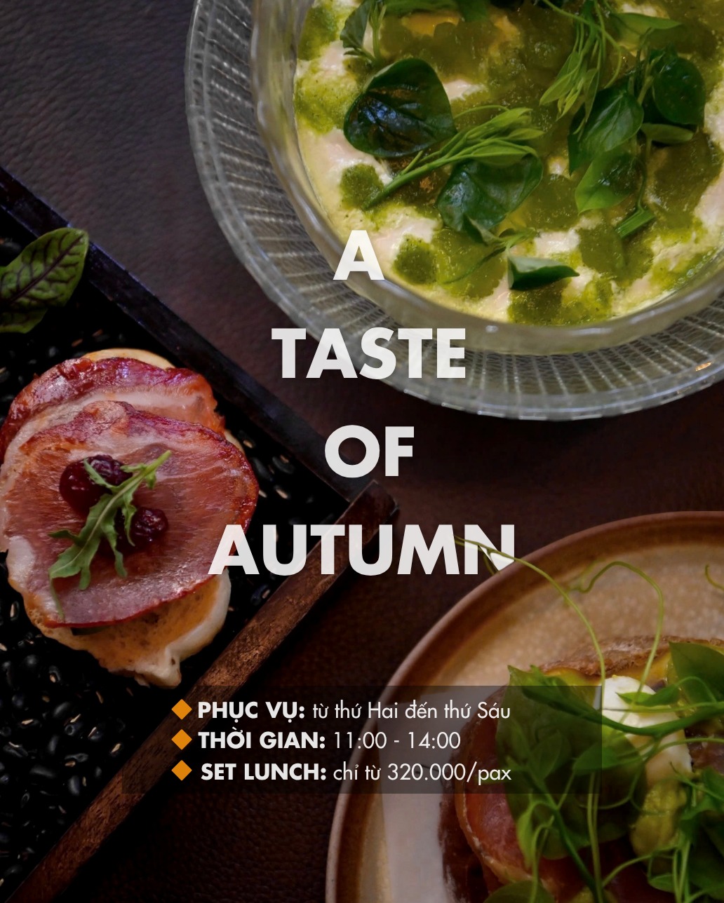 WARM TABLE FOR RAINY DAYS