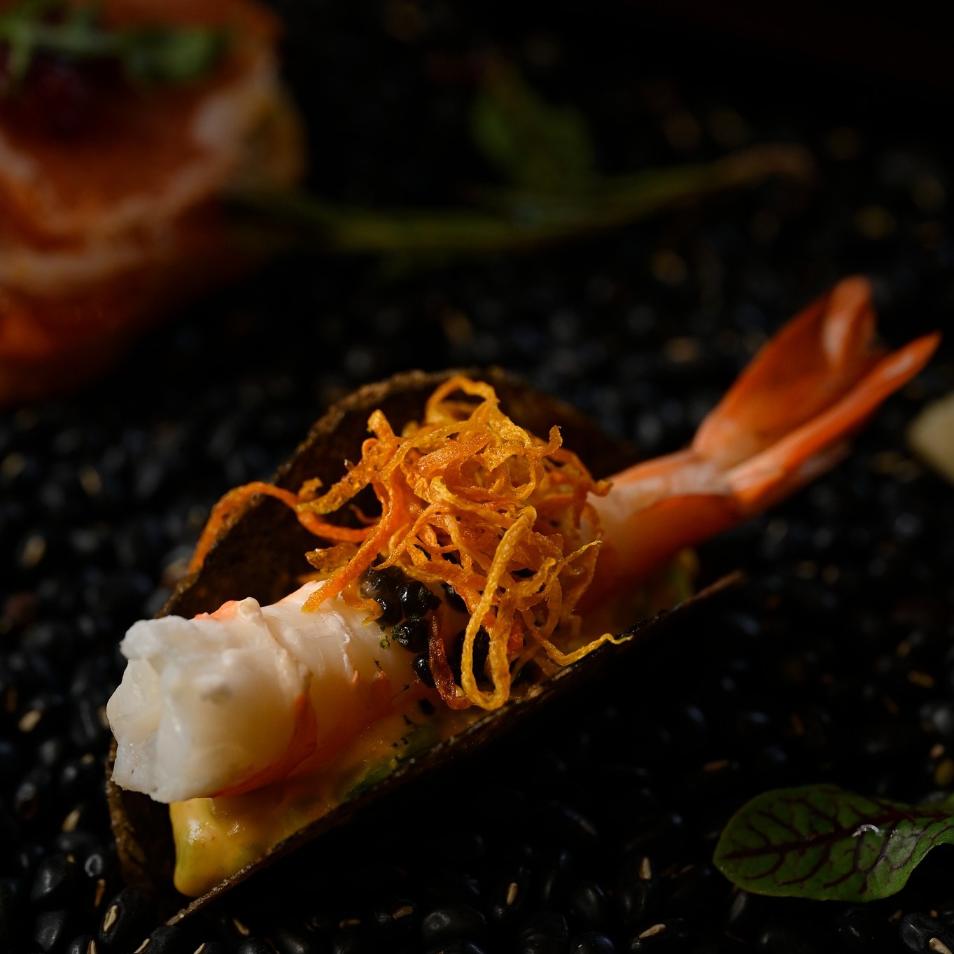 LUNCH IN THE WINTER SUN — photo 4