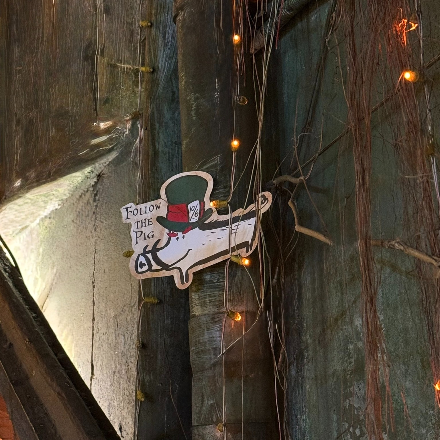 SOMETHING IS COMING ... — photo 3